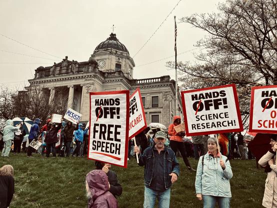people hold signs at a courthouse lawn rally, including "Hands off free speech" and "Hands off science research"
