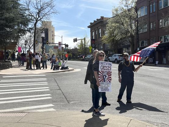 A person holding a sign that says constitutional crisis, human rights, rule of law, functional government. Next to them is another person holding an upside down American flag. In the background are designer so other protesters on the next corner.