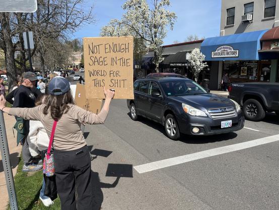 A person holding a sign that says “not enough sage in the world for this shit.”