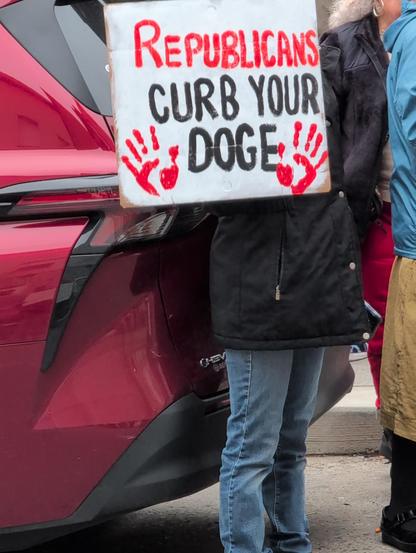 Republicans curb your DOGE