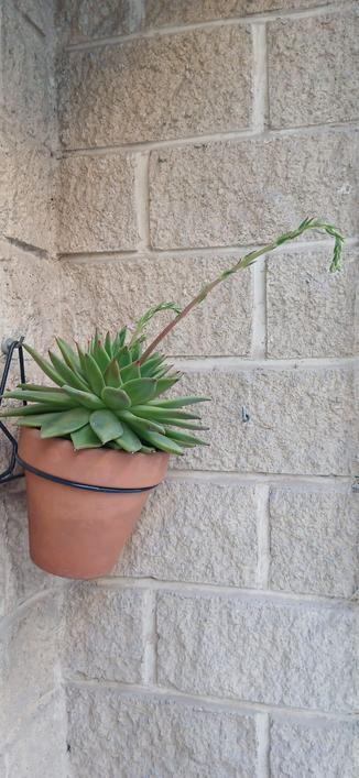 AltText en siguientes posts.