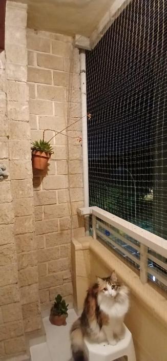 AltText en siguientes posts.