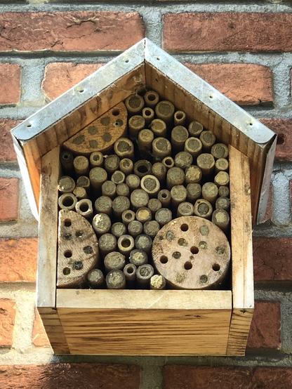 Bug hotel nearly full