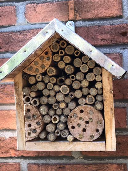 Bug hotel nearly full