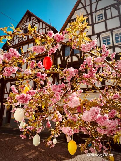 Blühender Baum mit üppigen rosa Blüten, geschmückt mit bunten Ostereiern, vor historischen Fachwerkhäusern am Marktplatz von Grünberg. Im strahlenden Frühlingslicht entsteht eine warme, festliche Atmosphäre voller Lebensfreude und Tradition