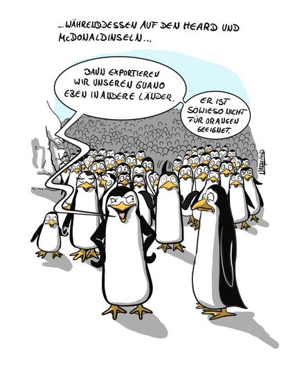 Eine große Pinguinkolonie berät sich über Trumps Strafzölle auf ihre "Produkte".
"Dann exportieren wir unseren Guano eben in andere Länder. Er ist für Orangen sowieso nicht geeignet."