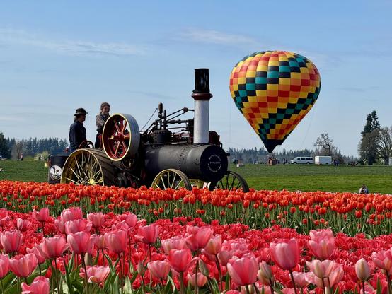 A vintage steam engine is parked amidst vibrant red tulips, with two people standing near it. In the background, a colorful hot air balloon floats in a clear blue sky, enhancing the scenic field filled with flowers.