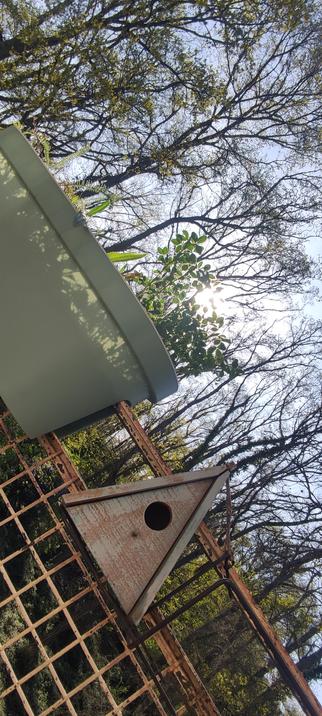 Lumière dorée de fin d’après-midi traversant un fouillis végétal. Au centre, un pot vert légèrement incliné vers une petite cabane à oiseau rouillée, suspendue dans la pénombre. Tout semble immobile, baigné d’un calme lumineux et secret