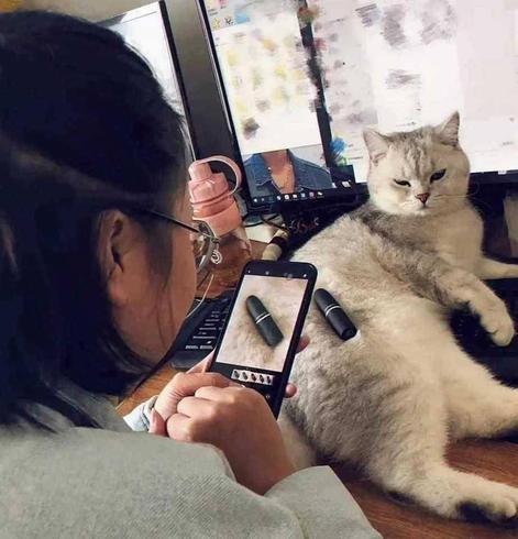 Photo 1
A beauty Influencer taking a photo with their phone of their cat, who is lounging on his side with a tube of fancy lipstick nestled in his fur. On the phone, you can see that the picture is zoomed in to where all you see is the tube of lipstick on a glamorous background of fur. 