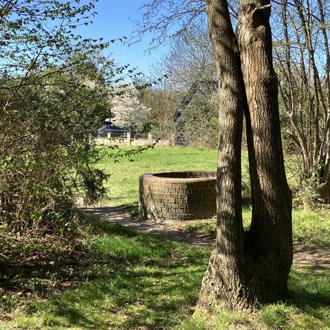 My view from the bench at Basil’s Well