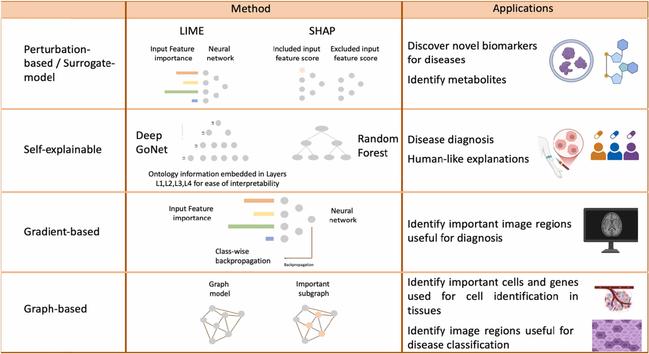 Demystifying the Black Box: A Survey on Explainable Artificial Intelligence (XAI) in Bioinformatics. Computational and Structural Biotechnology Journal, DOI: https://doi.org/10.1016/j.csbj.2024.12.027