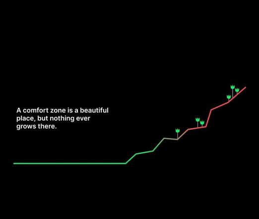A comfort zone is a beautiful place, but nothing ever grows there.
