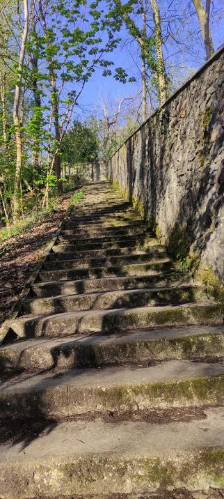 Escaliers en pierre , vue en contre-plongée, longeant le mur qui sépare le domaine national de Marly.
