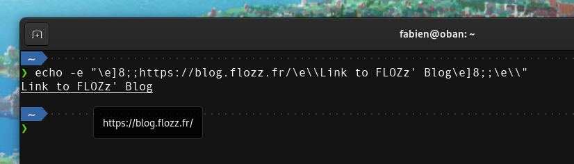 Capture d'écran d'un terminal basé sur VTE qui affiche un lien vers mon blog:

$ echo - "\e]8;;https://blog.flozz.fr/\e\\Link to FLOZz' Blog\e]8;;\e\\" 
Link to FLOZz' Blog