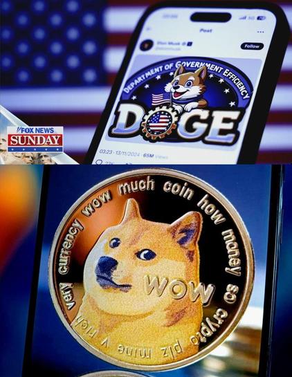 What does a puppy have to do with government efficiency? Nothing. It's a wink & a nod to the organization's TRUE purpose: to replace the dollar with "Crypto".

It's no coincidence they named "DOGE" after a form of cryptocurrency that Musk is a big investor in called "DogeCoin".