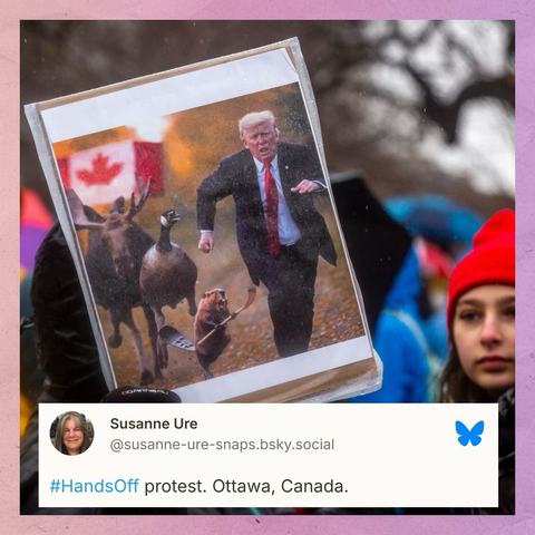 Susanne Ure on Bluesky: “#HandsOff protest. Ottawa, Canada.” (above an AI image of Trump running away from a beaver holding a hockey stick, a goose, and a moose with the Canadian flag displayed in the background)