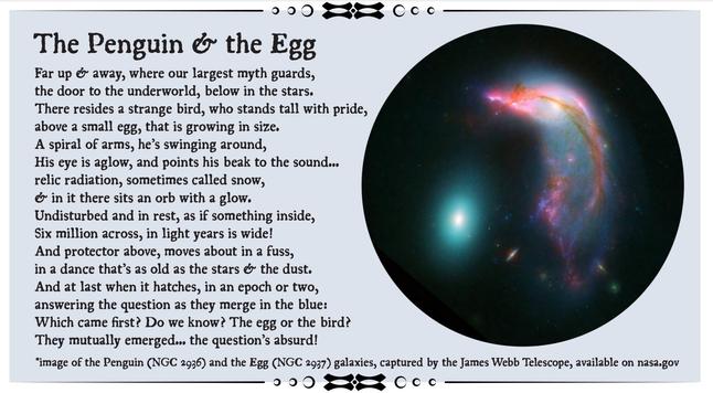 A poetic graphic titled “The Penguin & the Egg” features a poem on the left and a color image from the James Webb Space Telescope on the right. The poem tells a whimsical tale of a cosmic penguin watching over a glowing egg, using imagery inspired by the interacting galaxies NGC 2936 and NGC 2937. The right side shows a bright, colorful image of the galaxies: a sweeping spiral shape (the “penguin”) arcs protectively over a glowing orb-like galaxy (the “egg”). The text below credits NASA for the image and provides the studio’s website: www.foxandthistle.studio.
