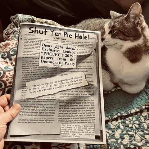 a calico cat looks approvingly at an issue of a zine called "Shut Yer Pie Hole!"