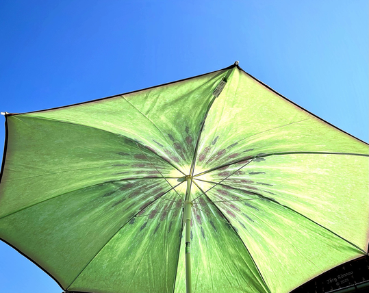 Das Bild zeigt die Innenseite eines Sonnenschirms mit einem Kiwidruck. Der Sonnenschirm ist hellgrün und zeigt ein Muster, das einer aufgeschnittenen Kiwi ähnelt. Der Hintergrund ist ein klarer, blauer Himmel. Der Blickwinkel ist von unten nach oben gerichtet.
