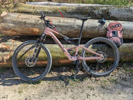 Orbea Rise Mountainbike in the color "Desert Rose" in front of freshly felled tree trunks.