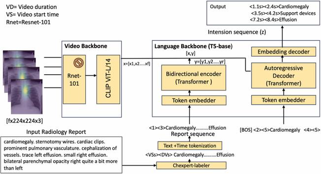 Bridging human and machine intelligence: Reverse-engineering radiologist intentions for clinical trust and adoption. Computational and Structural Biotechnology Journal, DOI: https://doi.org/10.1016/j.csbj.2024.11.012