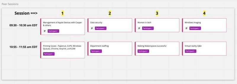 run your peer conference using Zoom: a screenshot of conference session topics chosen in Miro