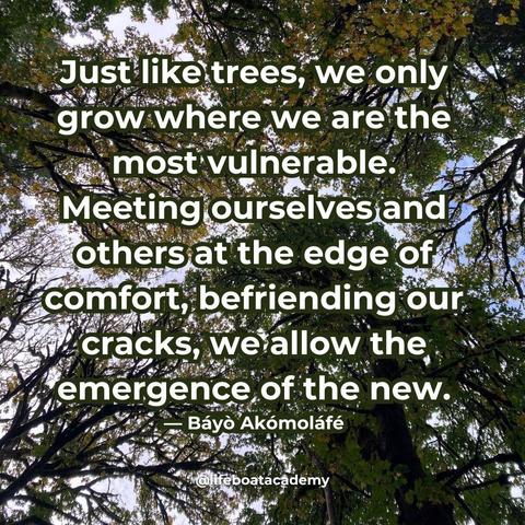 A social post from @lifeboatacademy which says: "Just like trees, we only grow where we are the most vulnerable. Meeting ourselves and others at the edge of comfort, befriending our cracks, we allow the emergence of the new." 
— Báyò Akómoláfé
