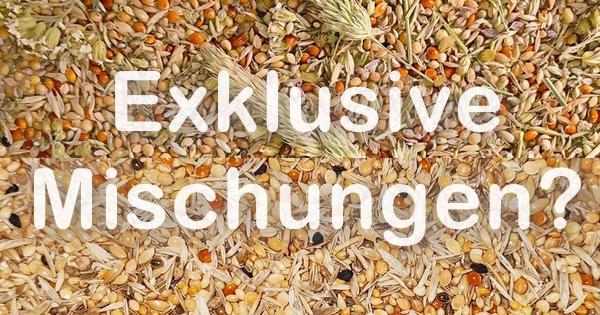 Exklusive Futtermischungen für Wellensittiche?