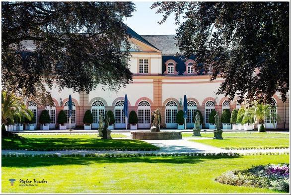 Das Foto zeigt eine elegante Barockarchitektur mit symmetrischen Fenstern und einem gepflegten Garten. Statuen, ein Brunnen und Palmen zieren den Hof, während Schatten großer Bäume eine malerische Atmosphäre schaffen. Stilvolle Sonnenschirme ergänzen das Ambiente.