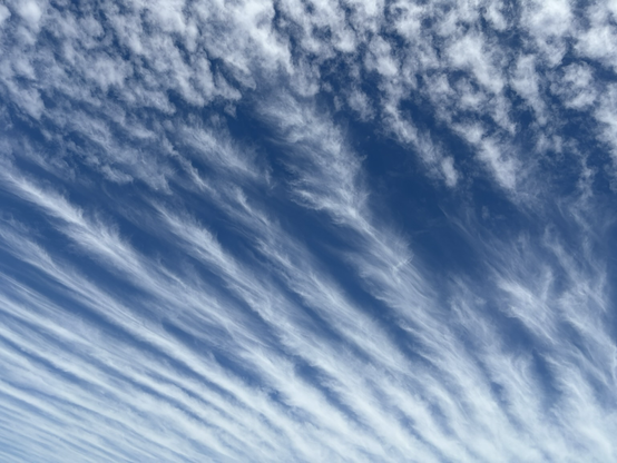 Sky striped with feathery cirrus at the bottom of the image pointing up to sparkling cirrocumulus. The sky is otherwise a deep blue.