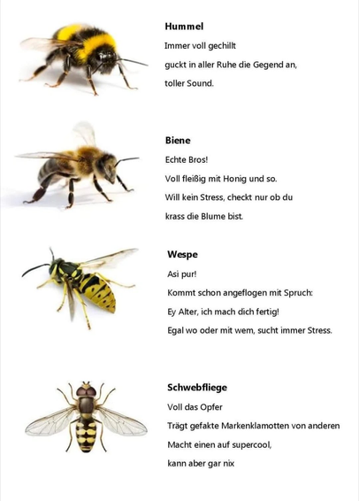 Hummel
Immer voll gechillt
guckt in aller Ruhe die Gegend an,
toller Sound.

Biene
Echte Bros!
Voll fleiBig mit Honig und so.
Will kein Stress, checkt nur ob du
krass die Blume bist.

Wespe
Asi pur!
Kommt schon angeflogen mit Spruch:
Ey Alter, ich mach dich fertig!
Egal wo oder mit wem, sucht immer Stress.

Schwebfliege
Voll das Opfer
Trägt gefakte Markenklamotten von anderen
Macht einen auf supercool,
kann aber gar nix