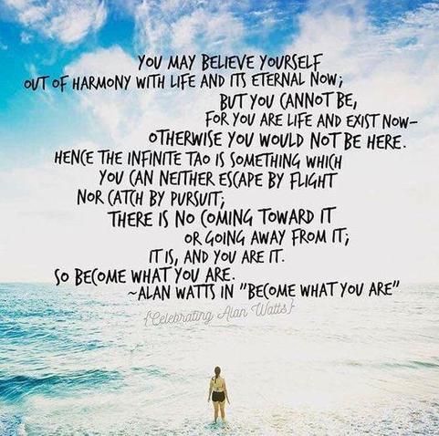 YOU MAY BELIEVE YOURSELF OUT OF HARMONY WITH LIFE AND ITS ETERNAL NOW; BUT YOU CANN®T BE, FOR YOU ARE LIFE AND EXIST NOW-
OTHERWISE YOU WOULD NOT BE HERE.
HENCE THE INFINITE TAO, SOMETHING WHICH You CAN NEITHER ESCAPE BY FLIGHT NOR CATCH BY PURSUIT;
THERE I§ NO CMING TOWARD IT OR GOING AWAY FROM IT; YOU ARE IT.
SO BECOME WHAT YOU ARE.

ALAN WATTS 
(Image: a child before the ocrean)
—

