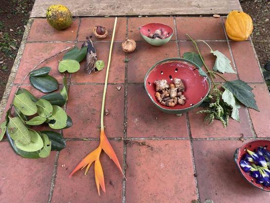 Produce from garden at Tower Estate