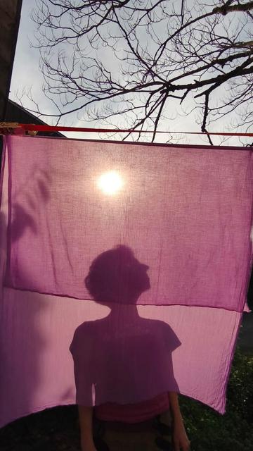 Photo prise à contre-jour. A travers un tissu mauve, un buste de femme, visage de profil.