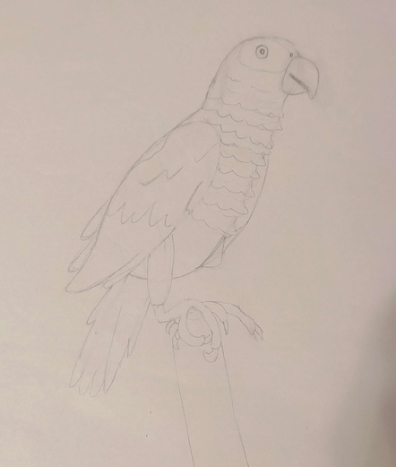 A drawing of a bird