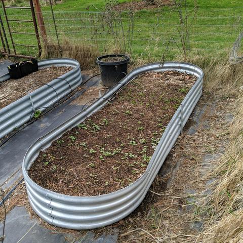 A photo showing a raised bed with radish, spinach, and arugula growing in it. It is all very small and spread around without being in rows.