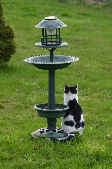 A black and white cat sits on the grass, looking at a decorative bird feeder with multiple levels. The background features a grassy area and a tree.