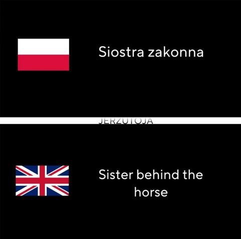 The phrase "siostra zakonna" sounds like "sister behind the horse".