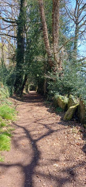 Chemin vers une allée couverte en centre bretagne