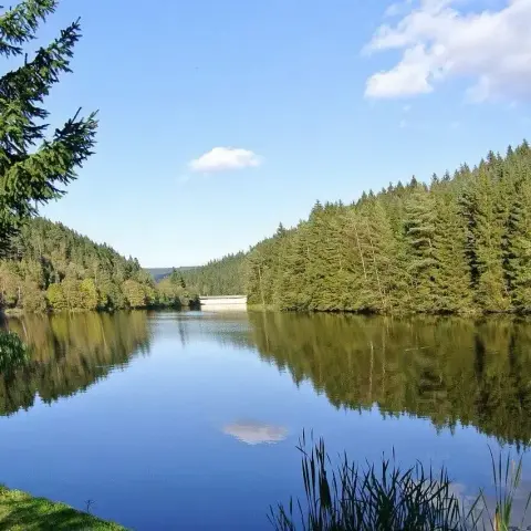 🏞️ Die größten Seen in Niedersachsen – Natur pur erleben!