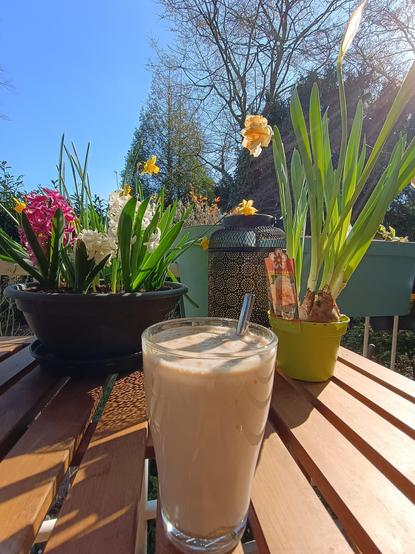Picture of an high protein iced latte, having many plants in the background while the sun is shining on a warm spring day.