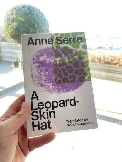 Bilde av boka til Anne Serre 