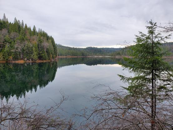 A tranquil lake surrounded by lush evergreen trees, reflecting the overcast sky and surrounding forest. The foreground features some branches and a small tree, adding depth to the serene landscape.