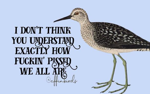 A painting of a bird beside the text "i don't think you understand exactly how fuckin' pissed we all are"