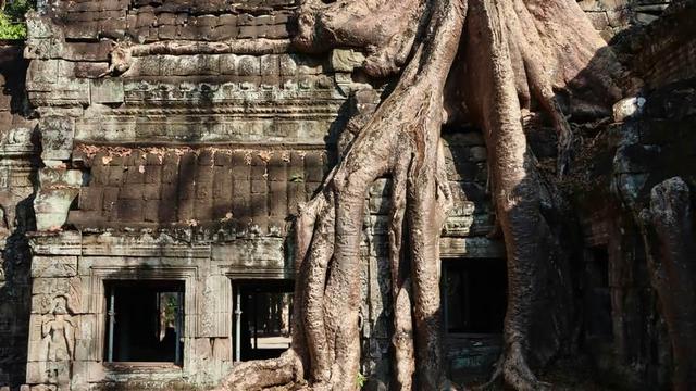 Ruins at Angkor Wat.