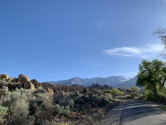 Trees and rocky hills stand below a mostly blue sky, with  snowy mountain range in the distance