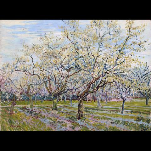 The image depicts a tranquil landscape scene. It is a painting rendered in the impressionist style, characterized by its use of bright colors and visible brushstrokes that create a sense of movement. The main focus is on trees with full foliage, likely cherry blossoms given their pinkish-white hue. The sky is clear with soft blue tones and wispy clouds, suggesting a pleasant day. The grass beneath the trees appears lush and green. The overall mood of the painting conveys a sense of peacefulness and natural beauty.