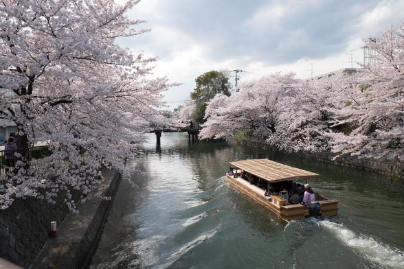 A traditional flat-bottomed boat called Jukkoku-bune plies the waters of the Okazaki Canal beneath the cherry blossoms.