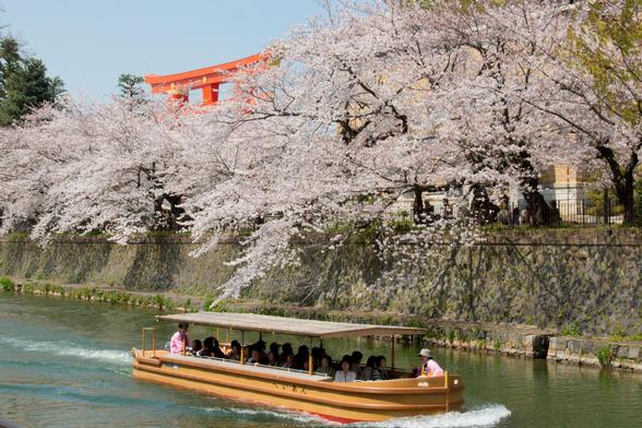 A traditional flat-bottomed boat called Jukkoku-bune plies the waters of the Okazaki Canal beneath the cherry blossoms.
