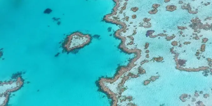 🐠 Great Barrier Reef – Ein Naturwunder entdecken!
